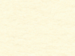 ANTIQUE WHITE MUSEUM