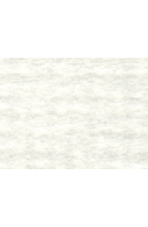 AVILLION  WHITE BLACK CORE 